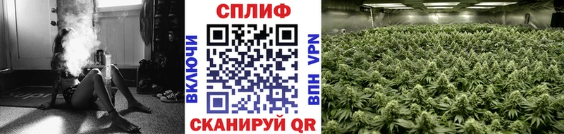 Сколько стоит Меленки ГАШИШ  A-PVP  БУТИРАТ  Бошки Шишки  COCAIN  МЕФ 