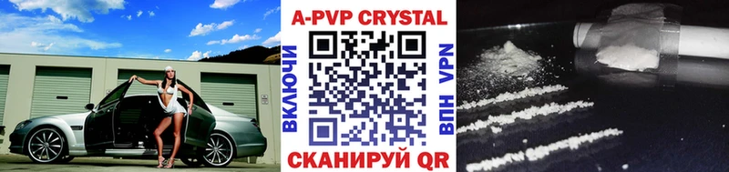дарнет шоп  маркетплейс как зайти  Alpha PVP СК  Меленки 