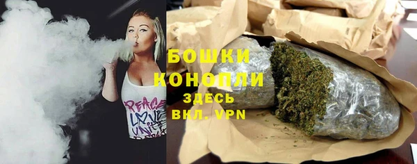 прущий лед Вяземский