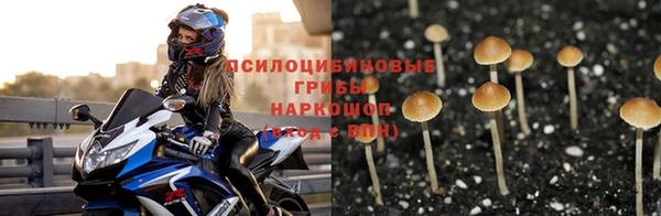 прущий лед Вяземский