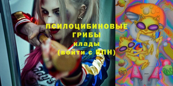 прущий лед Вяземский