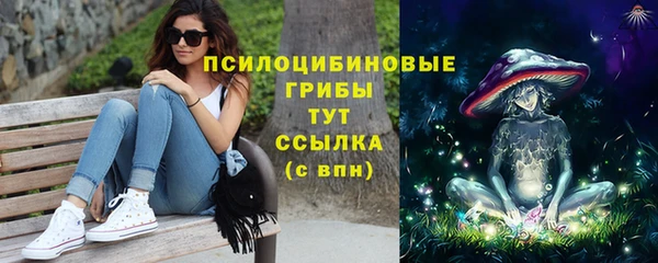 прущий лед Вяземский